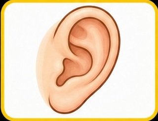 oreja